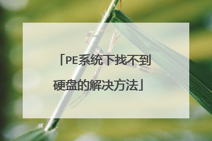 PE系统下找不到硬盘的解决方法