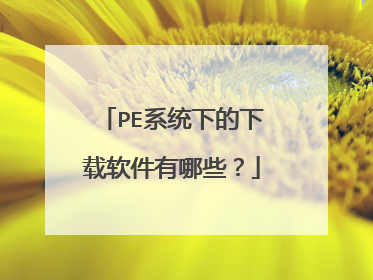 PE系统下的下载软件有哪些?