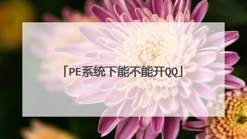 PE系统下能不能开QQ