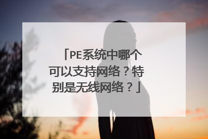 PE系统中哪个可以支持网络？特别是无线网络？