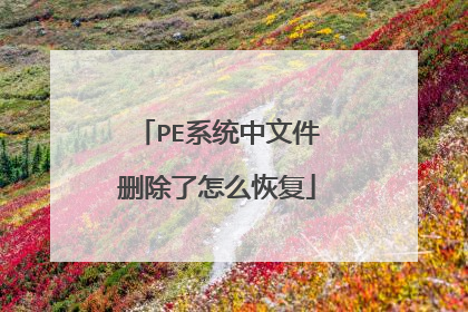 PE系统中文件删除了怎么恢复
