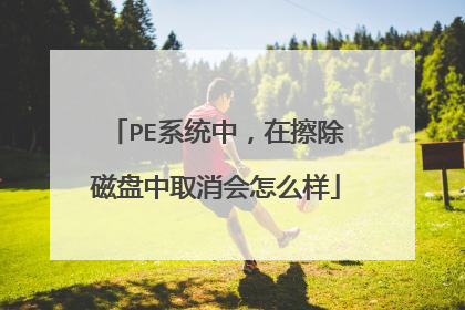 PE系统中,在擦除磁盘中取消会怎么样