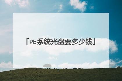 PE系统光盘要多少钱