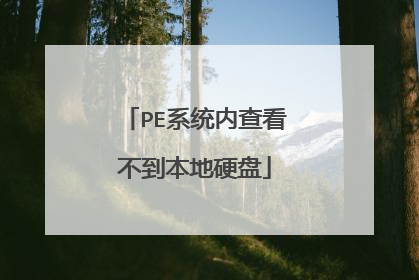 PE系统内查看不到本地硬盘