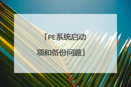 PE系统启动项和备份问题