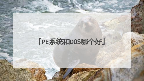PE系统和DOS哪个好