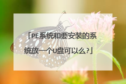 PE系统和要安装的系统放一个U盘可以么?