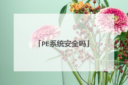 PE系统安全吗