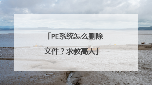 PE系统怎么删除文件?求教高人