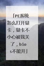 PE系统怎么打开显卡，显卡不小心被我关了，bios不能开