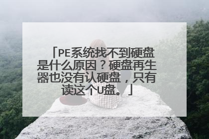 PE系统找不到硬盘是什么原因?硬盘再生器也没有认硬盘,只有读这个U盘。