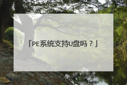 PE系统支持U盘吗?