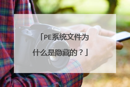 PE系统文件为什么是隐藏的？