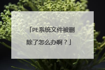PE系统文件被删除了怎么办啊?