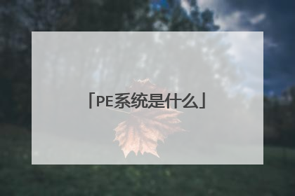 PE系统是什么