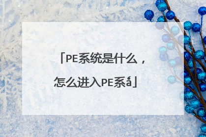 PE系统是什么,怎么进入PE系ǻ