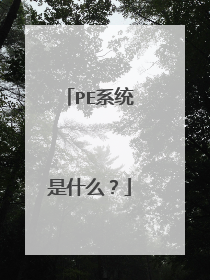 PE系统是什么？