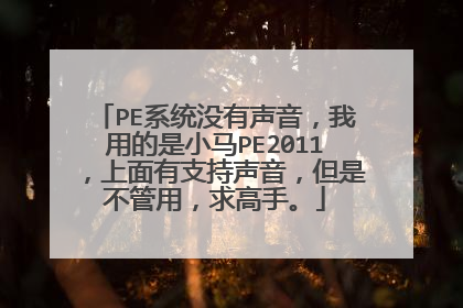 PE系统没有声音，我用的是小马PE2011，上面有支持声音，但是不管用，求高手。