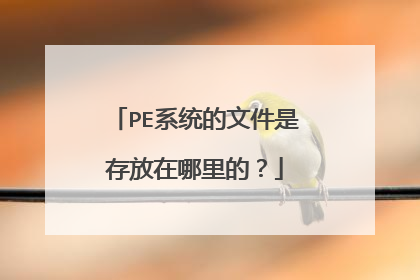 PE系统的文件是存放在哪里的？