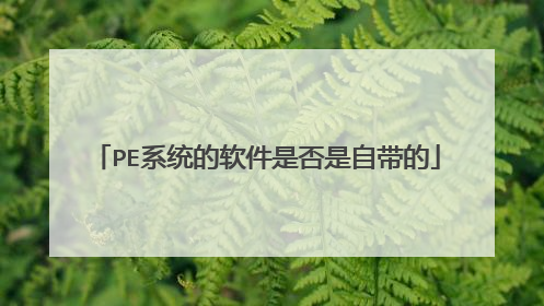 PE系统的软件是否是自带的
