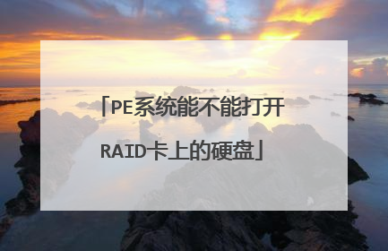 PE系统能不能打开RAID卡上的硬盘