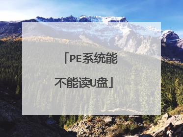PE系统能不能读U盘