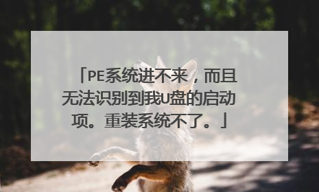 PE系统进不来，而且无法识别到我U盘的启动项。重装系统不了。