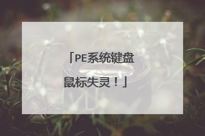 PE系统键盘鼠标失灵!