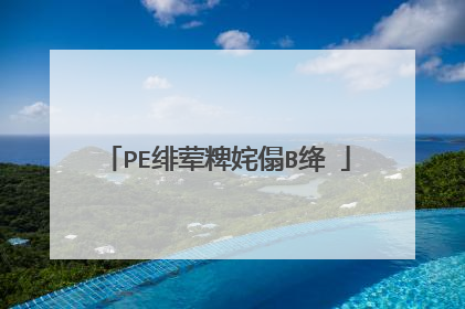 PE绯荤粺姹傝В绛�