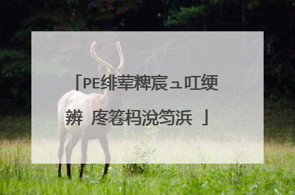 PE绯荤粺宸ュ叿绠辨�庝箞杩涗笉浜�