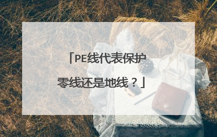 PE线代表保护零线还是地线?