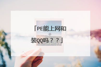 PE能上网和装QQ吗？？