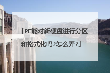 PE能对新硬盘进行分区和格式化吗?怎么弄?