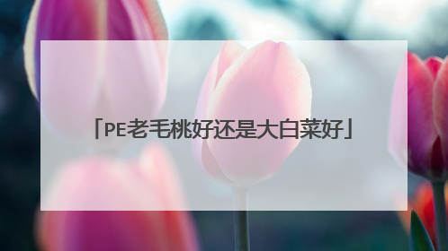 PE老毛桃好还是大白菜好