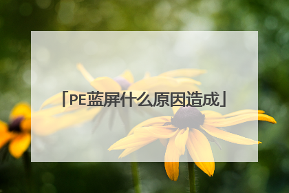 PE蓝屏什么原因造成