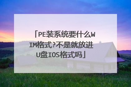 PE装系统要什么WIM格式?不是就放进U盘IOS格式吗