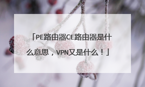 PE路由器CE路由器是什么意思,VPN又是什么!