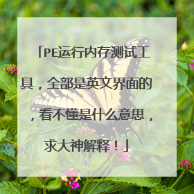 PE运行内存测试工具,全部是英文界面的,看不懂是什么意思,求大神解释!