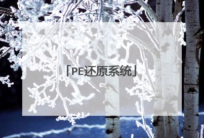 PE还原系统