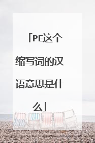 PE这个缩写词的汉语意思是什么