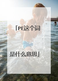 PE这个词是什么意思
