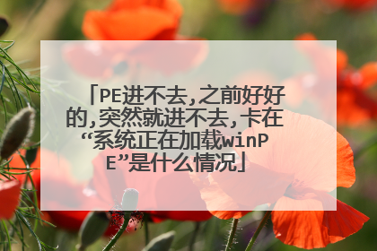 PE进不去,之前好好的,突然就进不去,卡在“系统正在加载winPE”是什么情况