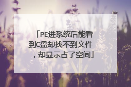 PE进系统后能看到C盘却找不到文件，却显示占了空间