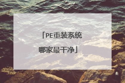 PE重装系统哪家最干净