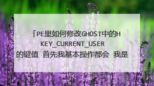 PE里如何修改GHOST中的HKEY_CURRENT_USER的键值 首先我基本操作都会 我是开过电脑店 只是说明一下!