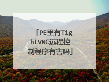 PE里有TightVNC远程控制程序有害吗