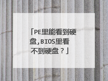 PE里能看到硬盘,BIOS里看不到硬盘?