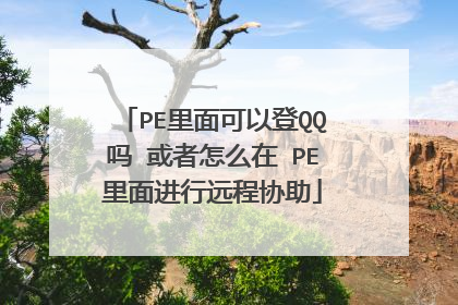 PE里面可以登QQ吗 或者怎么在 PE里面进行远程协助