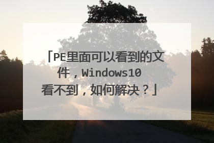 PE里面可以看到的文件，Windows10看不到，如何解决？