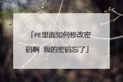 PE里面如何修改密码啊 我的密码忘了